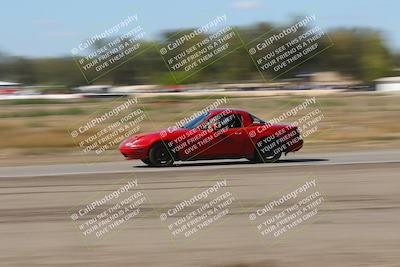 media/Oct-04-2025-OnGrid (Sat) [[44bd565ffa]]/Green Group/Grapevine/